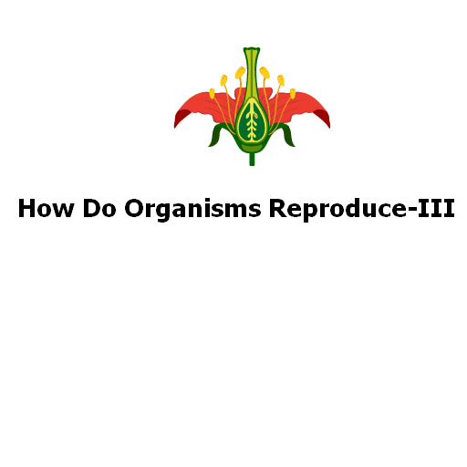 How Do Organisms Reproduce-III